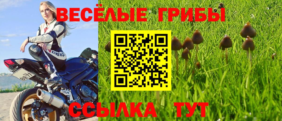 Кызыл  Галлюциногенные грибы мухоморы  как найти   Вход с VPN 