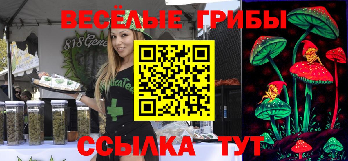 Кызыл  ГАШ  Меф МЯУ МЯУ кристаллы  LSD-25  Вход с VPN  МДМА  Меф 