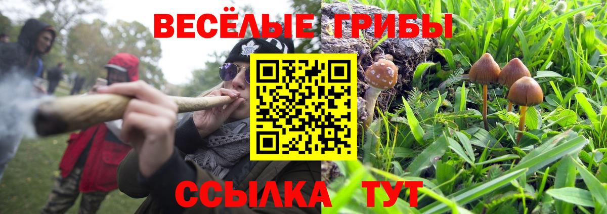 Псилоцибиновые грибы Magic Shrooms Кызыл