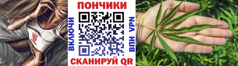Шишки марихуана индика  сколько стоит  kraken ТОР  Кызыл 